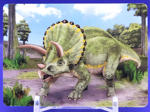Cartes triceratops - triceratops, /