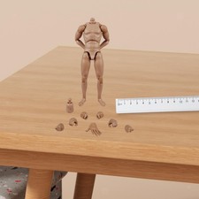 Figurine Articulée De 12