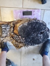 Bois d'olivier Provence N°X3 lot 1 rondin / tronc 11kg300 sculpture tournage 