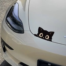 1PC Mignon Chat Noir Peeping