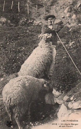 Carte postale animee - carte,