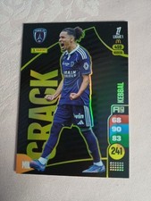 PANINI ADRENALYN XL LIGUE1