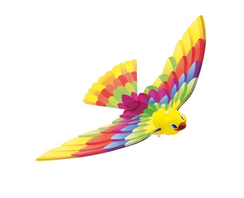 Timmy bird - timmy,