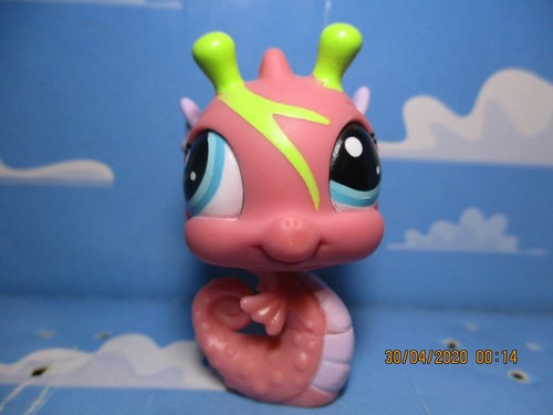 Petshop hippocampe 1731 - petshop,