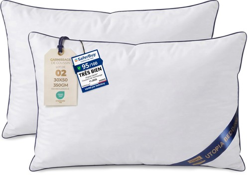 Coussin 30x50 lot 2 - coussin,