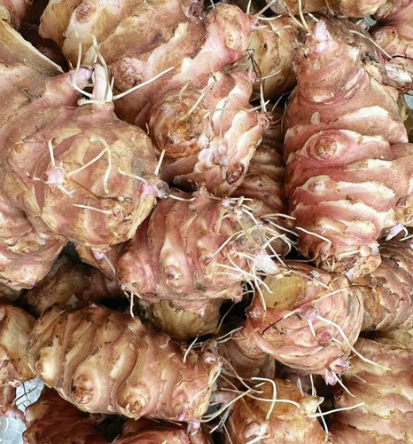 Wholesale sunchokes 20lb - sunchokes:,
