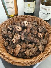 Morille Sans Queue 4 à 6 Cm