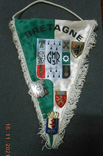 Insignes fanion - insignes,