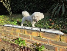 train électrique ho TGV ave