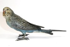 Bronze De Vienne Perroquet