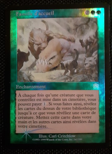 Mtg 1x famille - mtg,