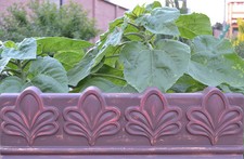 Moule béton ancien bord