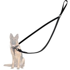 Laisse pour grands chiens