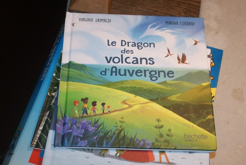 Livre dragon des - le,