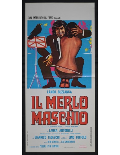 Locandina merlo maschio - il,