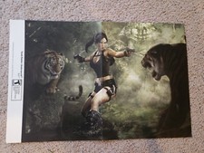 Suikoden : affiche double face