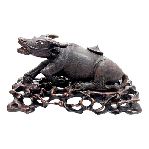 Paire vaches indochinoises - paire,