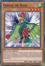 Yu-Gi-Oh! Oiseau de Rose : C LDS2-FR099