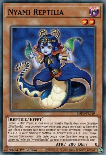 Nyami reptilia - yu,