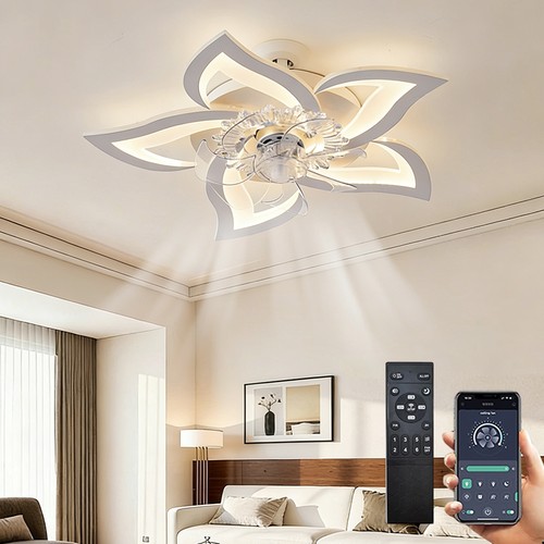 Ventilateur plafond lumiere - lumiere, et