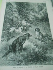 Gravure 1883 - Dans la Forêt