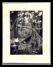 Photo, WW2, Nachl. Oblt.Rissmöller, Olonne-sur-Mer FRA 1944, dans la forêt b,...