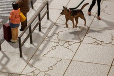 14629 Noch Grandes Plaques De