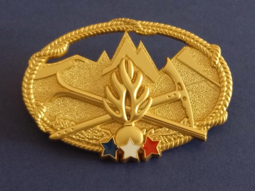 Gendarmerie brevet expert - gendarmerie,