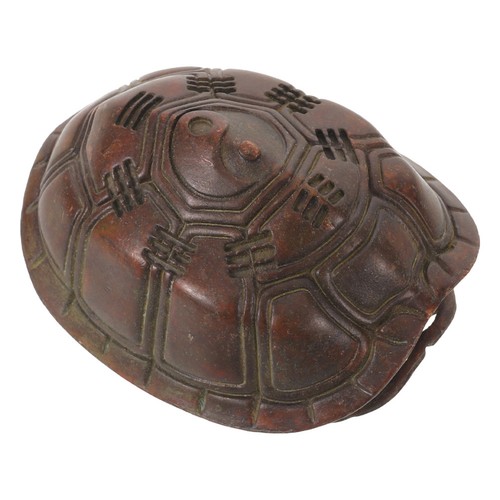 Carapace tortue tai - carapace, de