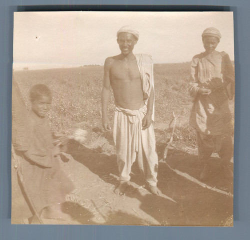 Egypte dendérah - egypte,,