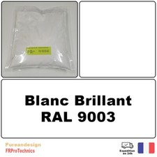 Peinture poudre de thermolaquage 1 Kg RAL 9003 Blanc Brillant - Powder coating