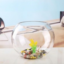 Grand bocal rond en verre pour