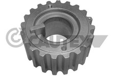 ROUE DENTéE (VILEBREQUIN)