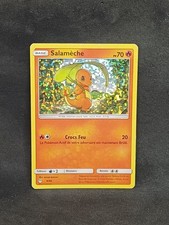 SALAMECHE HOLO - CARTE