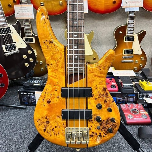 Electric bass guitar - guitar, sdgr