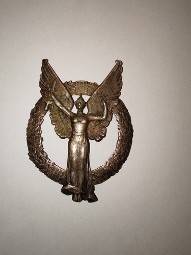 Rare insigne broche - rare,