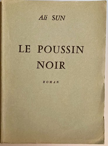 Curiosa poussin noir - poussin,