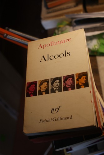 Alcools guillaume apollinaire - alcools,
