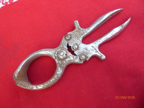 Pince castrer outil - pince,