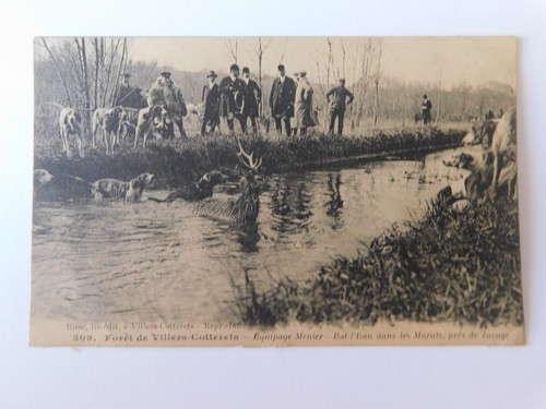 Cpa scene chasse - scene, courre