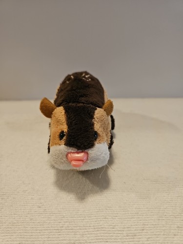 Zhu pet - zhu, 3