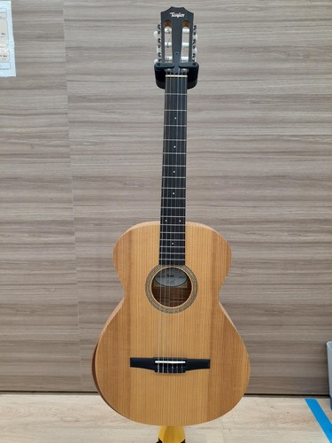Guitare acoustique électrique