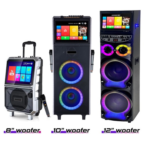 Professional karaoke machine - professional,