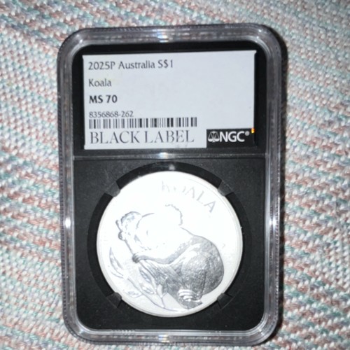 2025p australia koala - 2025p,