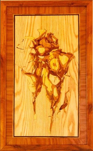 Roses placage image bois - placage,