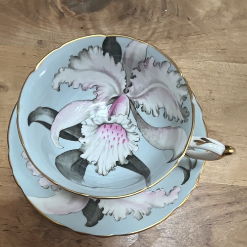 Paragon tasse café - tasse, +