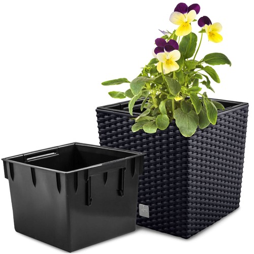 Pot fleurs - fleurs,