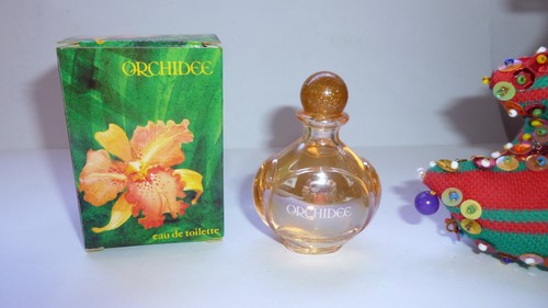 Rare miniature orchidee ml - orchidee,
