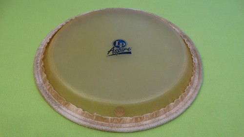 Aspire conga drum head - aspire, head.