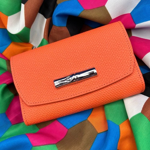 Stylish rare longchamp - stylish, le